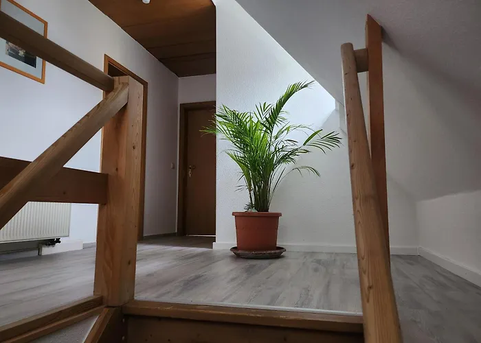 Auf Der Heide غروسشوناو