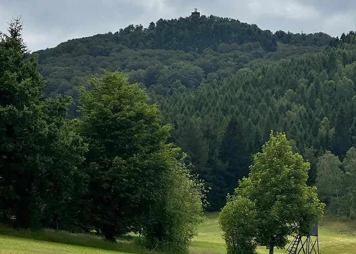 Auf Der Heide * غروسشوناو